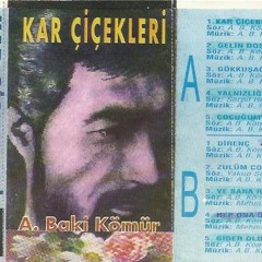 Abdulbaki Kömür - 1 Kar Cicekleri
