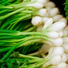 Cutting Scallions: The Sound You DON'T Want To Hear