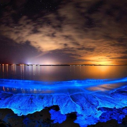 Something Else (not finished)