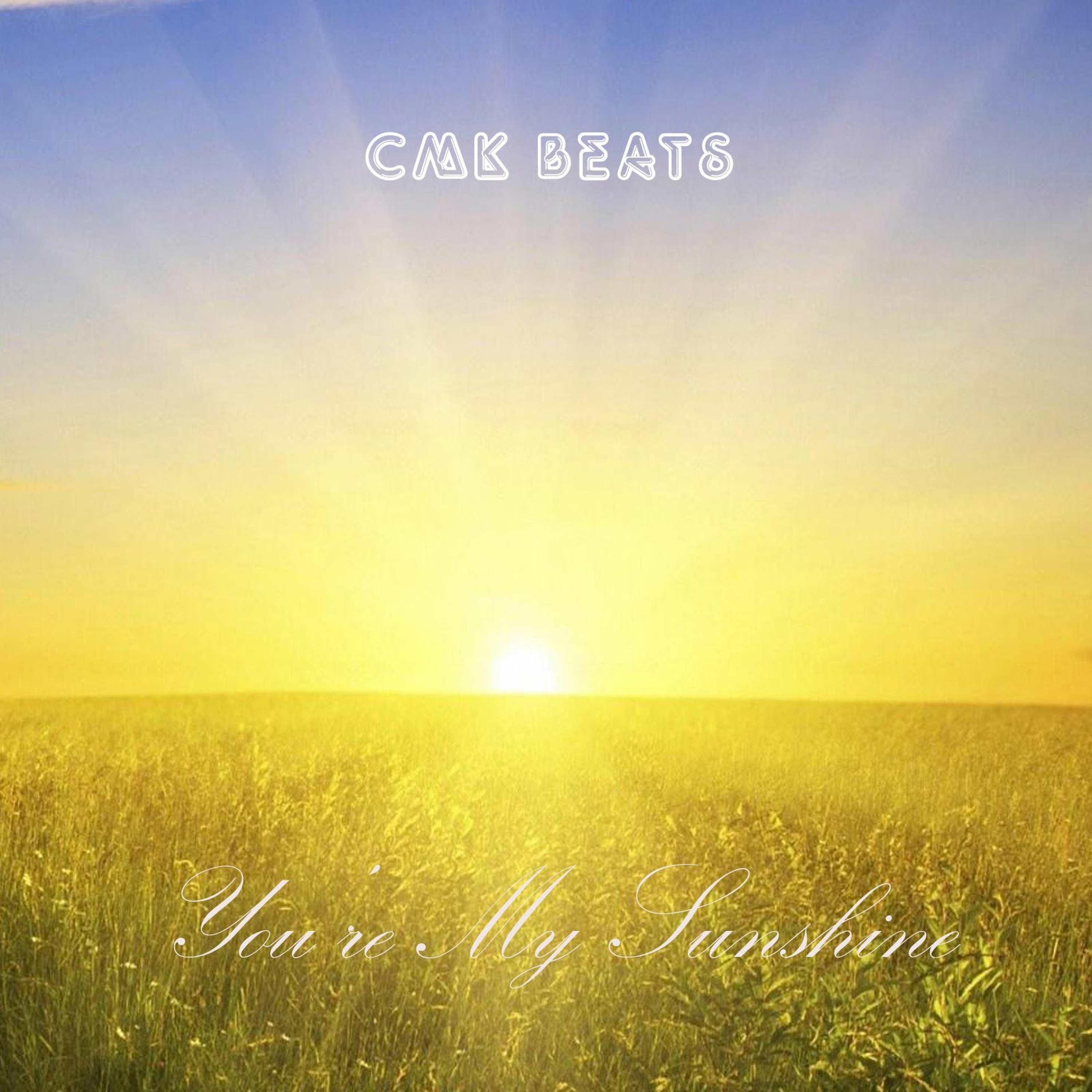 You're My Sunshine (Extended Instrumental Version).MP3 episode artwork