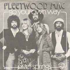 Go Your Own Way Cover