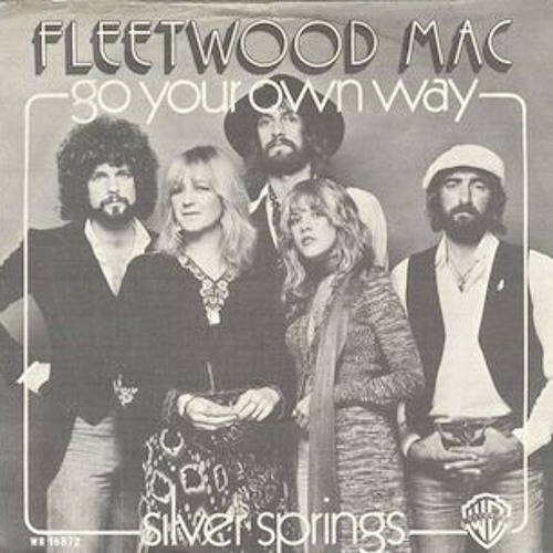 Go Your Own Way Cover