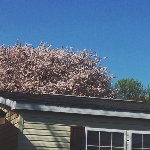 My Lungs Are A Canvas Painted Entirely Black (Prod. Frander)