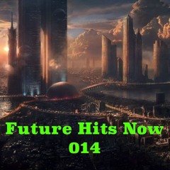 Future Hits Now 014