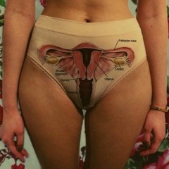 Las trompetas de falopio SUBE