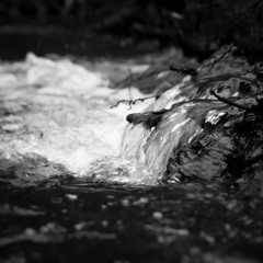 Subtle river flow - Stereo MS