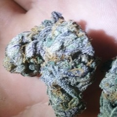 Murdaholics Instrumental