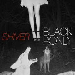 Shiver (from "Chasms" EP)