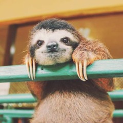 i promise i loved you