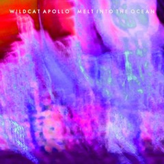 Super Sonic Shoegazer Tracks LXI