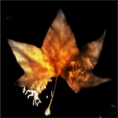 Dream Friday (noise version)