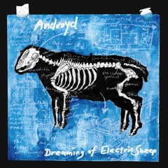 ANDroYd - Skunk Funk