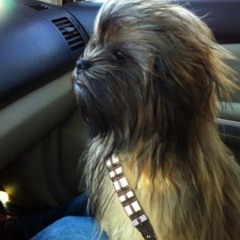 Lil Toons - Save My Soul (Edit) _ #Sample