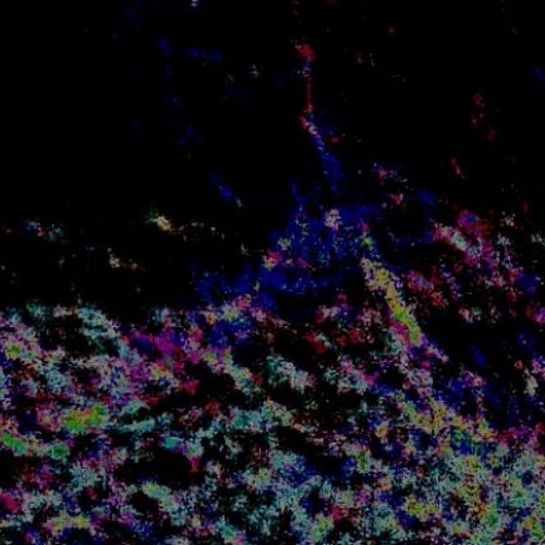 codeine tea