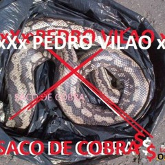 PEDROVILAO- SAKODIKOBRA(COREDISS)(PROD.BREO BEATS)