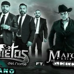 Requisito americano -  marcos flores "banda jerez" ft los inquietos del norte 2016