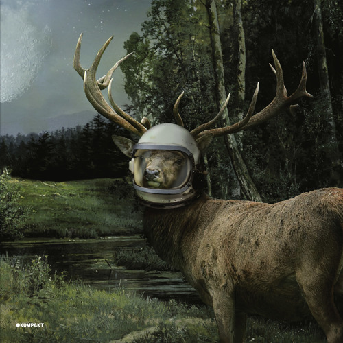 The Orb - Wolfgang Voigt AntiretroAmbientPsycholkaMix