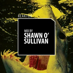 Reaktor Mix by Shawn O'Sullivan