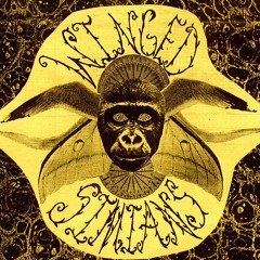 Winged Simians - Baby Sani