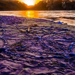 TimalizerPsycedelic Start!!