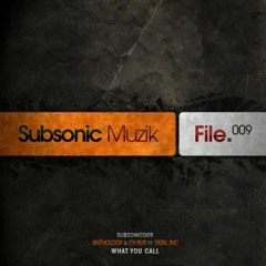 Fatal inc. ft. Anthology & Cy-Rus - What You Call (Original Mix)