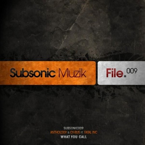 Fatal inc. ft. Anthology & Cy-Rus - What You Call (Original Mix)