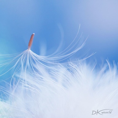 4-ый закон успеха. Закон  наименьшего усилия. (Дипак Чопра - 7 духовных законов успеха)