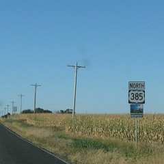 Try To Lure Them Away