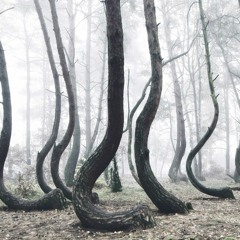 Dreamscape