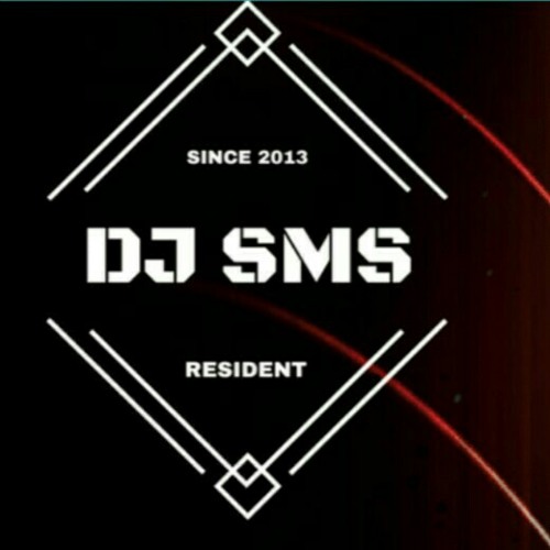 Zara larsson, Mnek, never forget you, DJ SMS REMIX