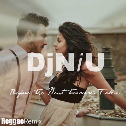 DjNiu Before The Next Tear Drop Falls  (Reggae Remix)