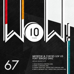 Medeew & Chicks Luv Us Feat Sergio Diaz - Need A Moment (Original MIx)