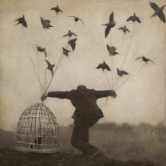 Fáinleog (Wanderer)