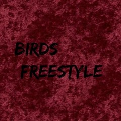 BIRDS(Freestyle)(Prod. Ignorvnce)