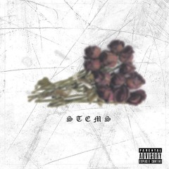 Future (Prod. by hndlz)