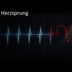 Doc Braitinger    Herzsprung
