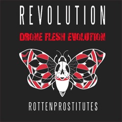 Rotten Prostitutes - Revolution (Drone Flesh Evolution)