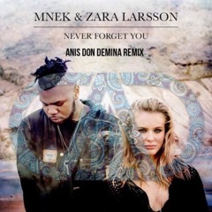Never Forget You (Anis don Demina Remix)