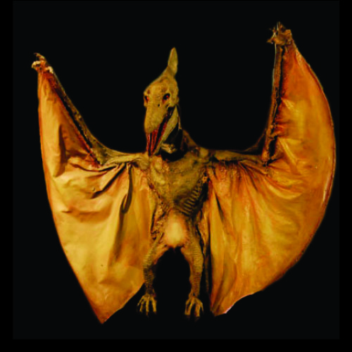picture of pterodactyl with soldiers