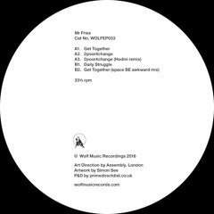 Mr.Fries '2poor4change (Hodini Remix)