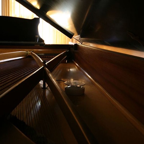 Anthony Kelly & David Stalling - Auralog: The Presence Of Trees