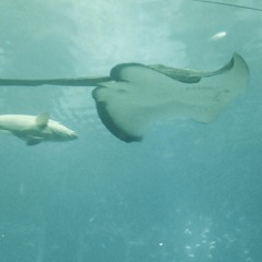 Do You Even Love Me When You're Drunk (Demo)