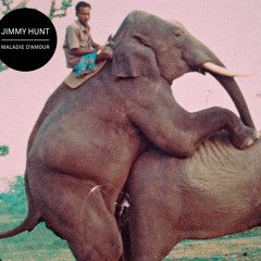 Jimmy Hunt - Nos Corps