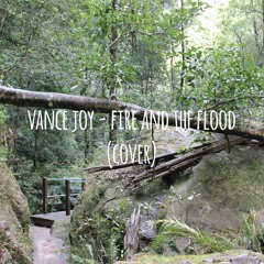 Vance Joy - Fire And The Flood (Cover)