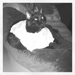 Unpleasant Stench of Success