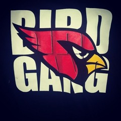 BIRD GANG (AZ Cardinals Anthem)~ Ben Harris (Free DL)