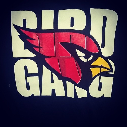 BIRD GANG (AZ Cardinals Anthem)~ Ben Harris (Free DL)