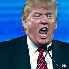 THE OFFICIAL DONALD TRUMP JAM (KASKADE REMIX)