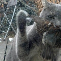 Blak Milk beat remixed by Hi-Eff & Harmattan