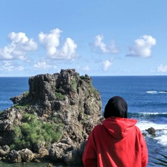 Love your self ( cover by luqyanam & ari)